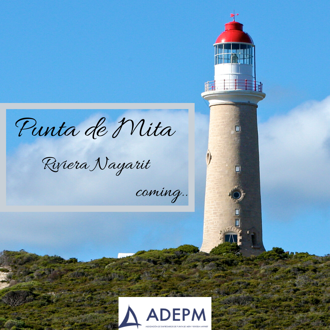 Things to do in Punta de Mita